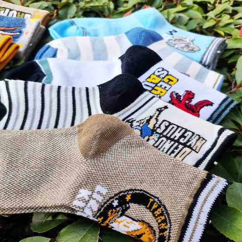 Kids Dinosaurs Design 6Y-8Y Cotton Socks Set of 10 Pairs KS72